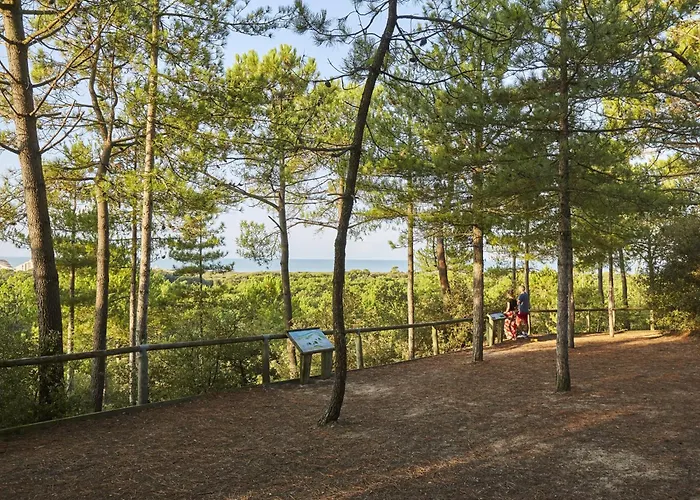 A : Pavillon Intime 6 Pers., Proche Et Commerces - Fr-1-323-369 펜션